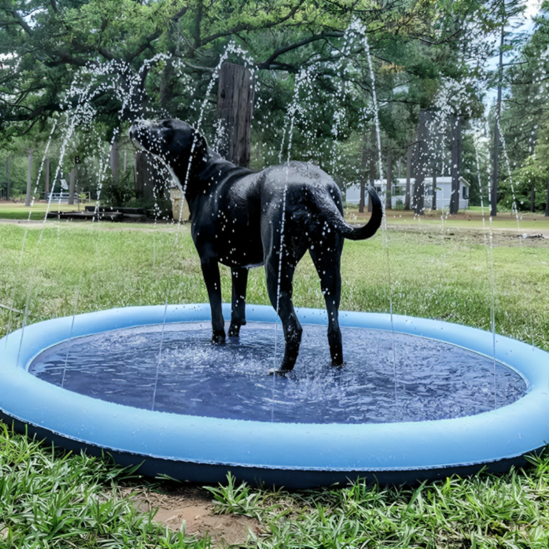 Dog Sprinkler Pad