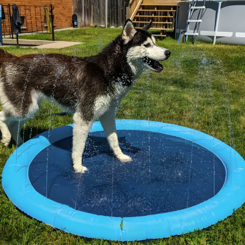 Dog Sprinkler Pad