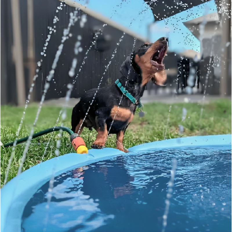 Dog Sprinkler Pad