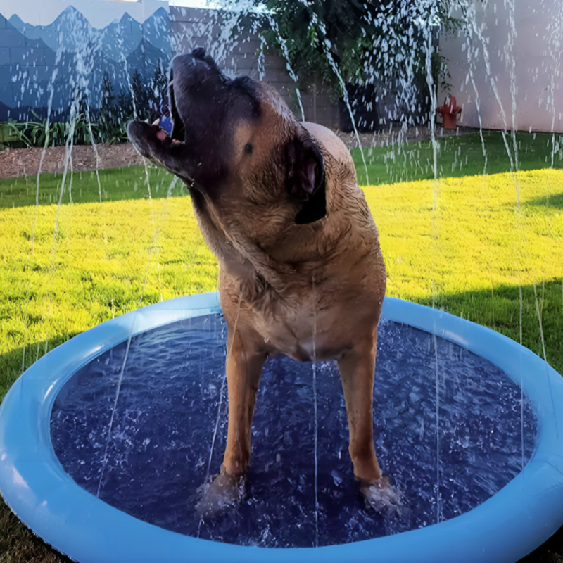 Dog Sprinkler Pad