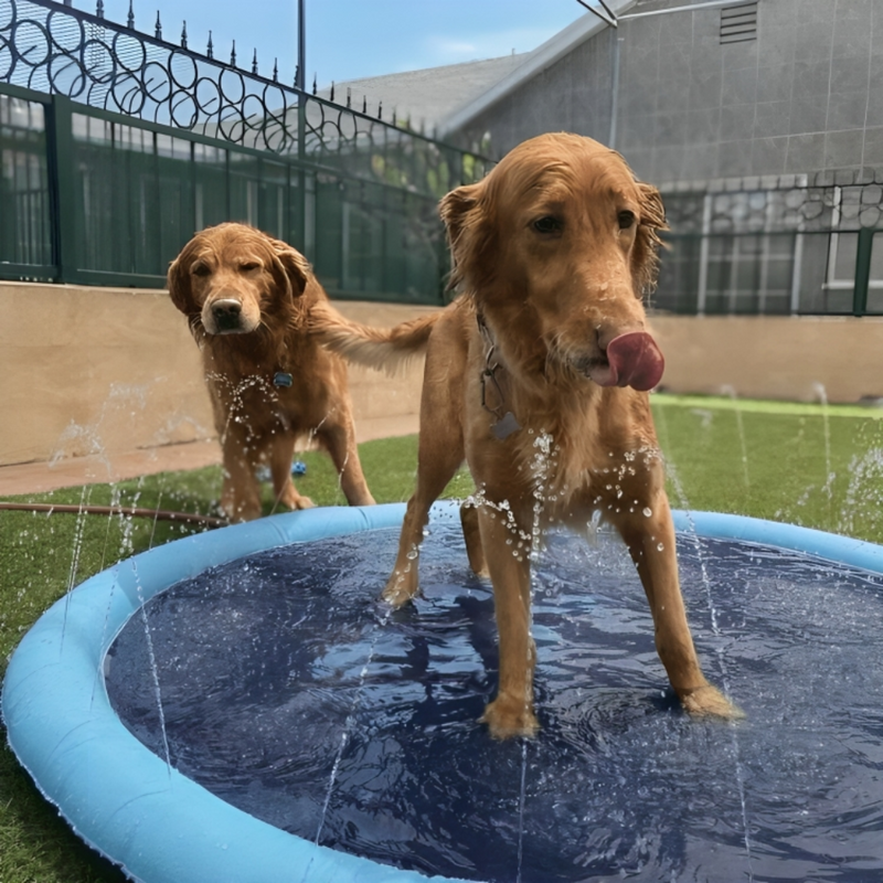 Dog Sprinkler Pad