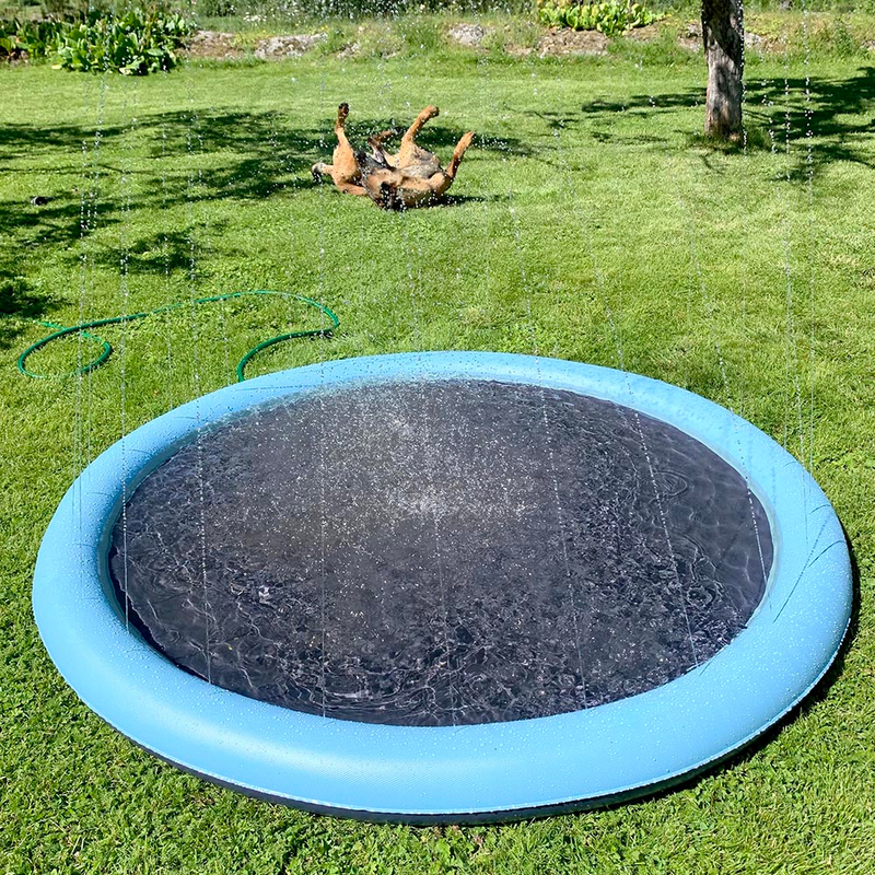 Dog Sprinkler Pad