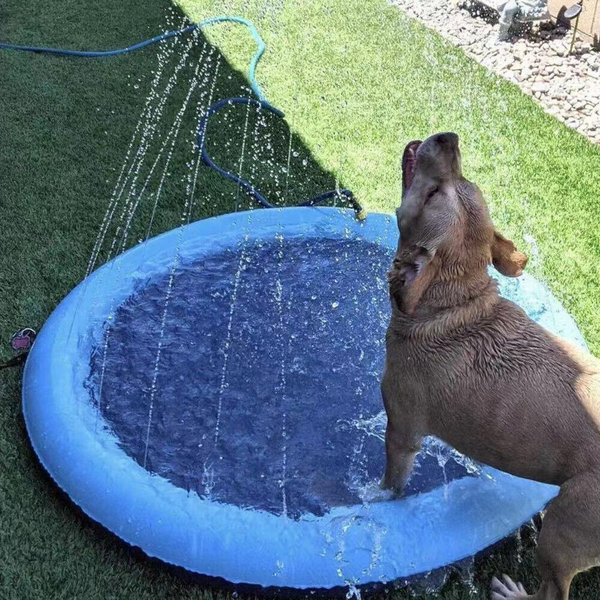 Dog Sprinkler Pad